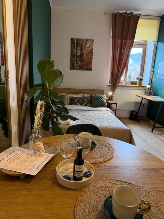 Apartament inwestycyjny (najem krótkoterminowy/ booking)
