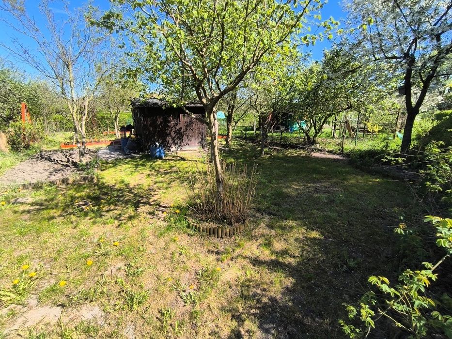 Ogródek działkowy działka ROD Orlik Księże Małe