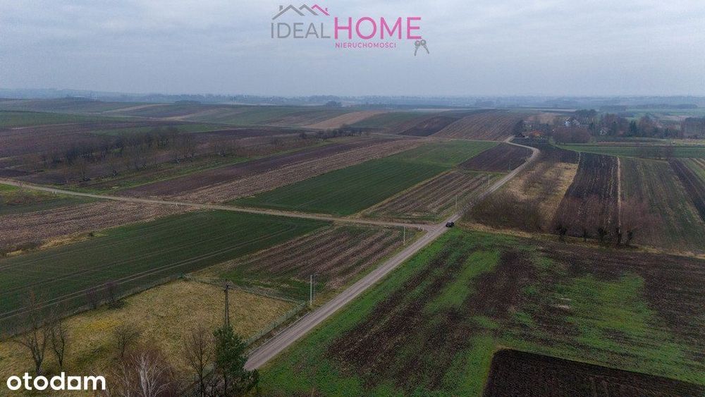 Działka budowlana (zagrodowa) Siennów - Więcej