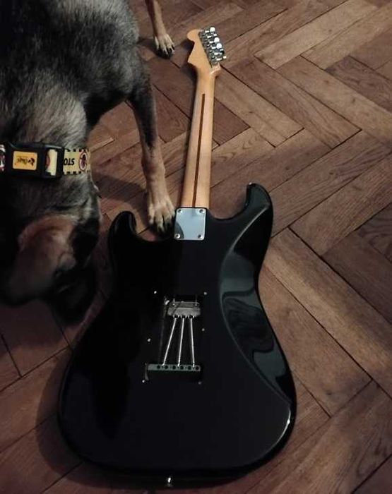 Fender Stratocaster MiJ