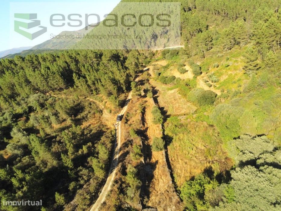 Terreno Agrícola