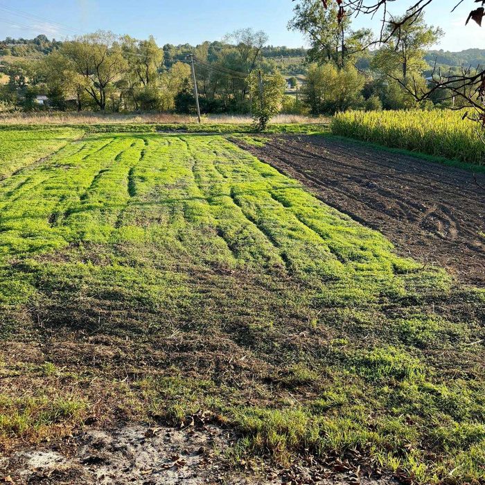 Продаж будинку зі всіма комунікаціями