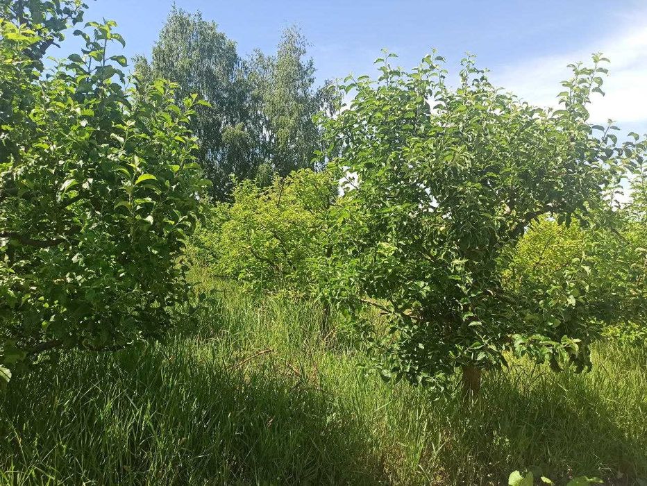 Продається земельна ділянка в селищі Літин 5827
