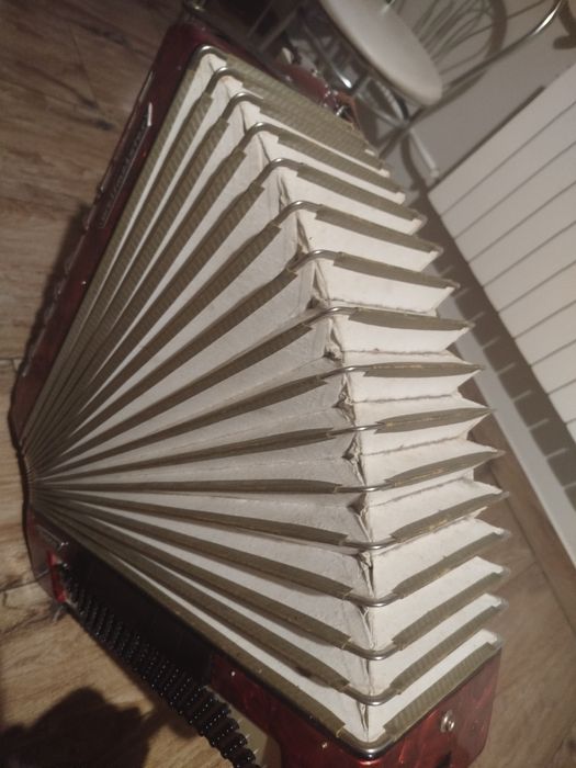 Akordeon weltmaister 120