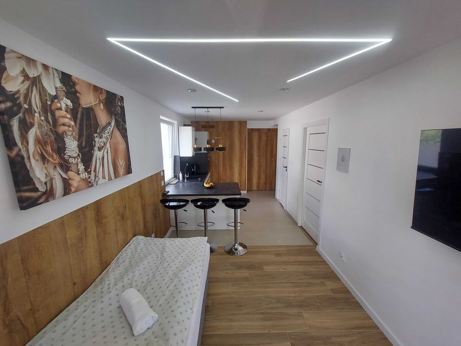 Apartamenty, mieszkania dla Firm, wynajem.