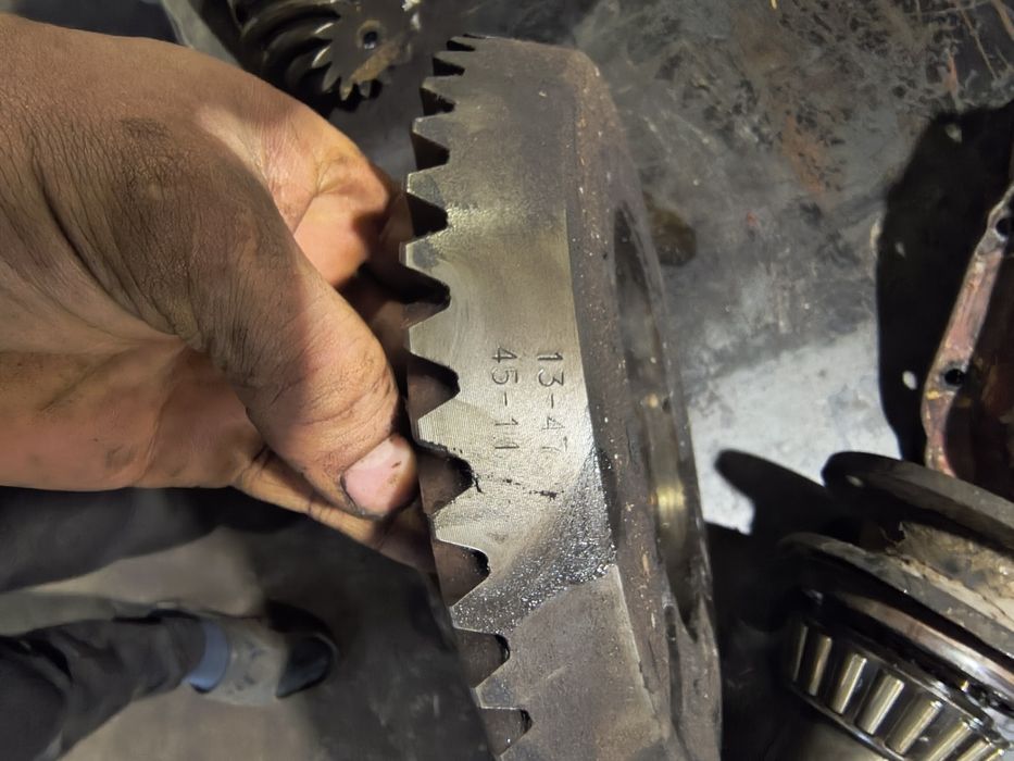 Продам головну пару на івеку