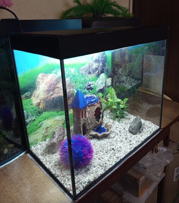 Аквариум 35 литров полный комплект