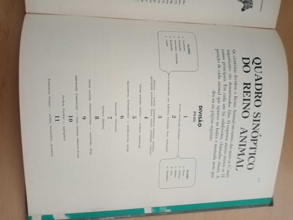 Maravlihas e Mistérios do Mundo Animal