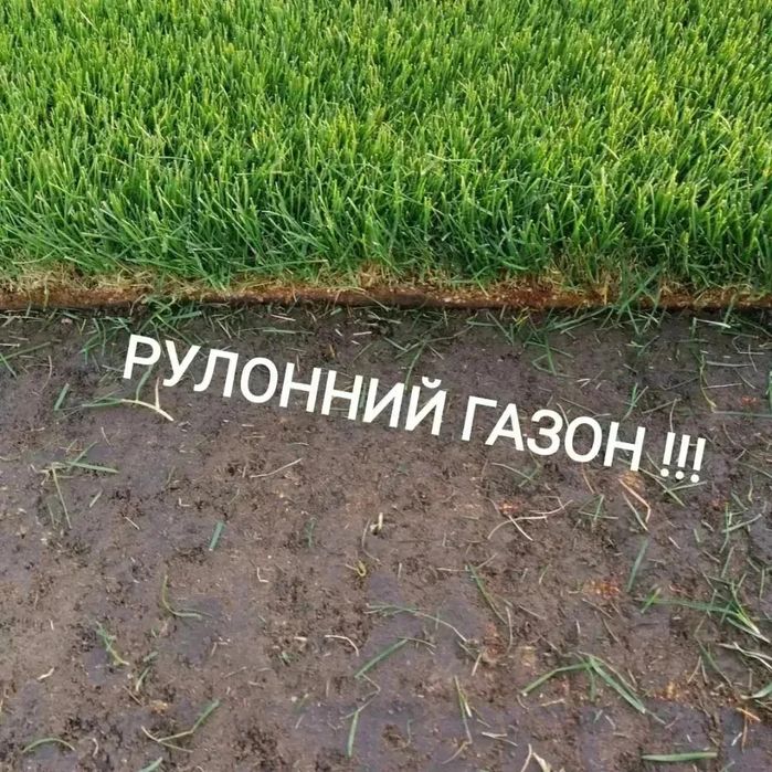 Рулонний газон- посів газону   Автоматичний полив