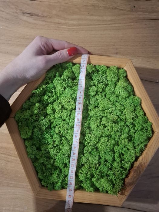 Obrazy ze sztucznego mchu