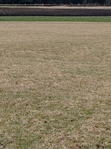 Sprzedam grunty rolne