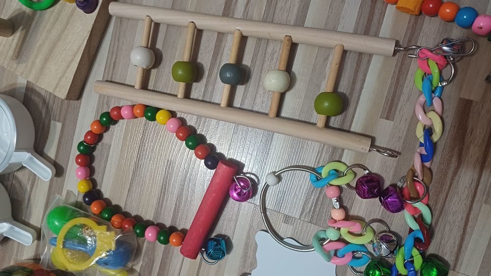 Zestaw zabawek dla papugi ptaka ptaków