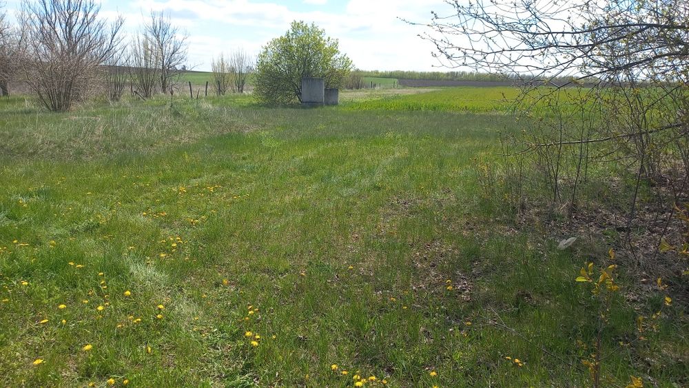 Продам приватизовану ділянку 0,20 га під будинок( це назва оголошення)