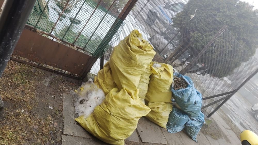 Gruz drewno za darmo