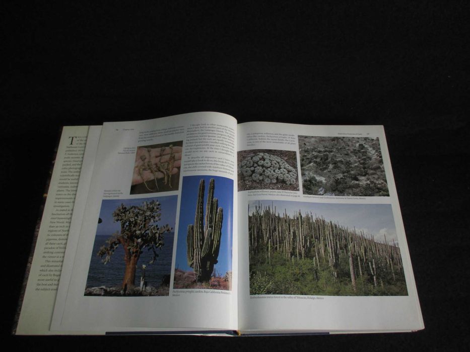 Livro The Cactus Family Edward F. Anderson