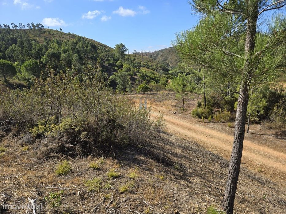 Terreno Rústico com 6320m2