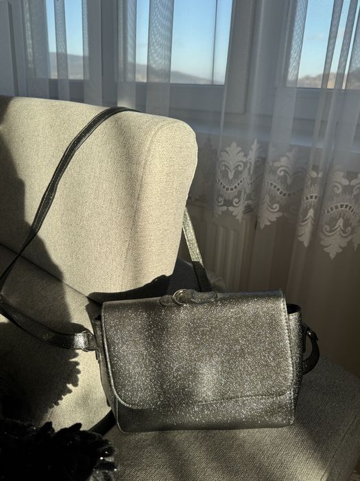 Srebrna torebka