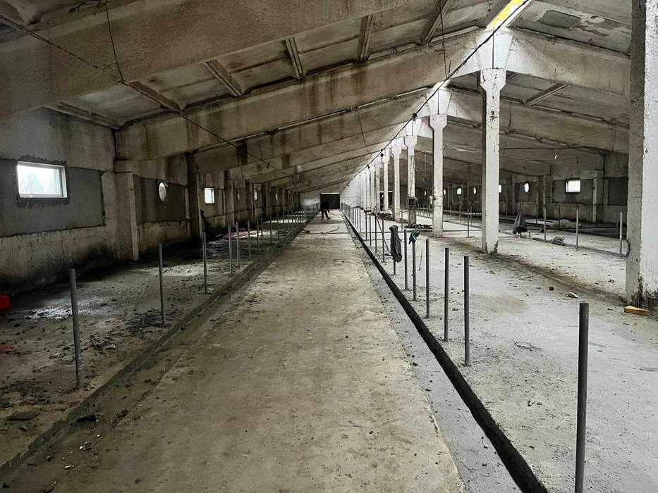 АСФАЛЬТ, БРУКІВКА, БЕТОН. Роботи та продаж. Послуги спецтехніки