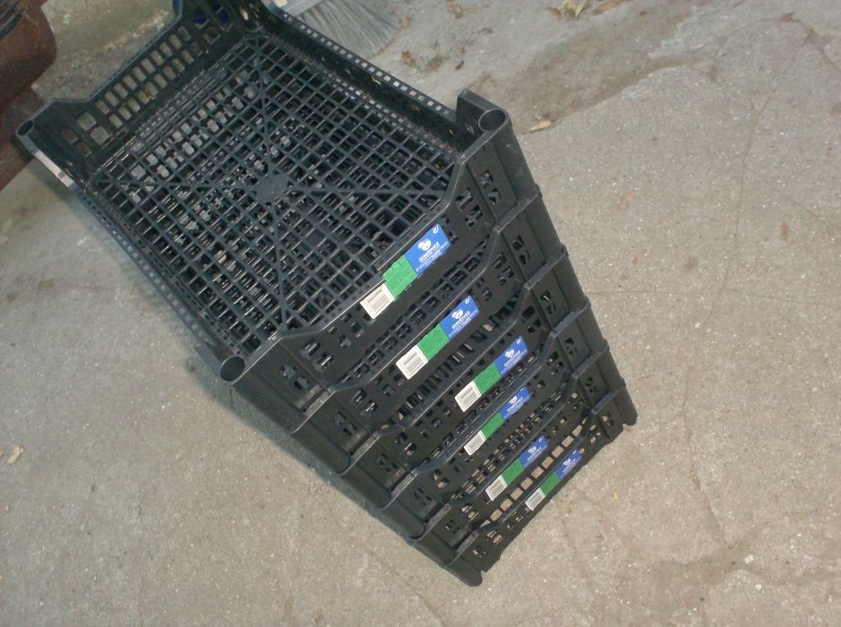 caixas