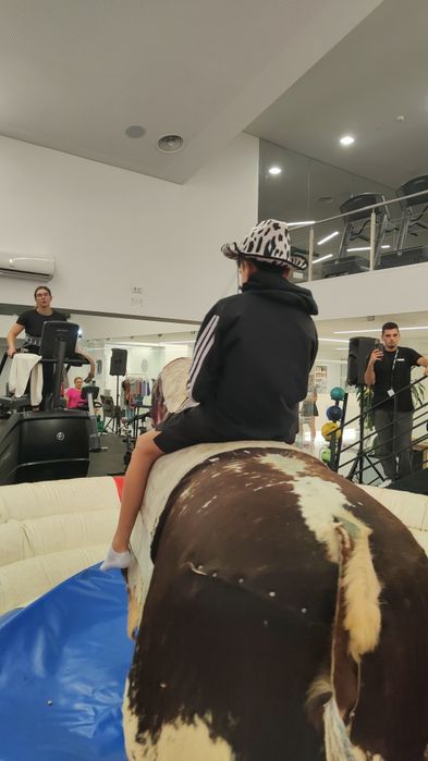 Cavalo Mecânico (único em Portugal)