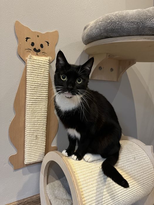 Delikatna Blanka szuka chaty