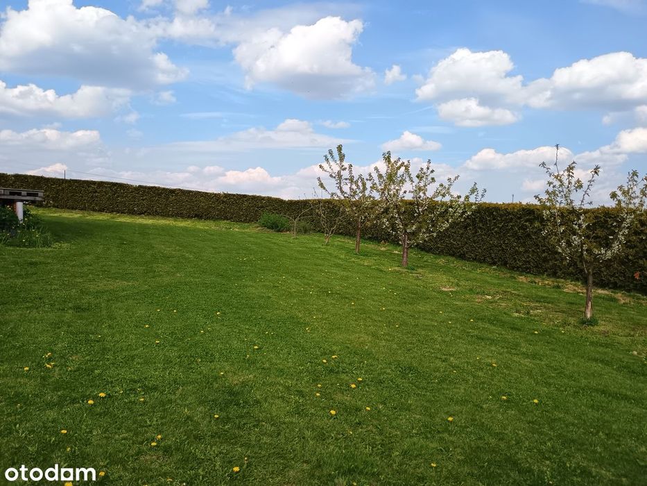 Dom – Siedliska - Widok 5