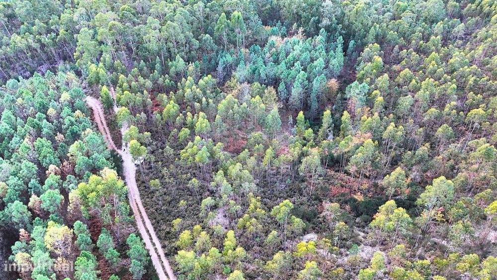 Terreno  para venda — Caparrosa E Silvares, Viseu