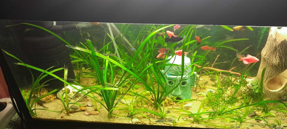 продам акваріум на 100л.