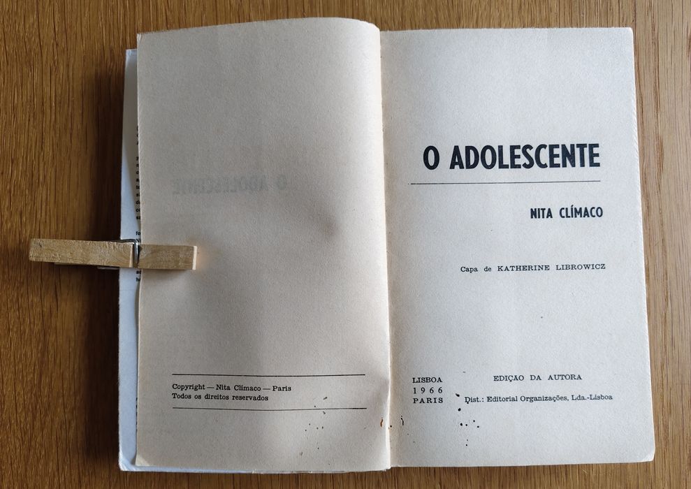 O adolescente, de Nita Clímaco