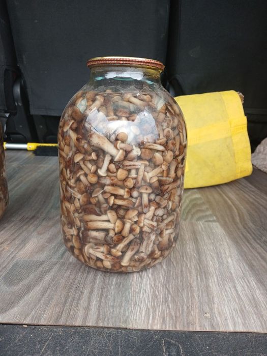 Продам мариновані гриби