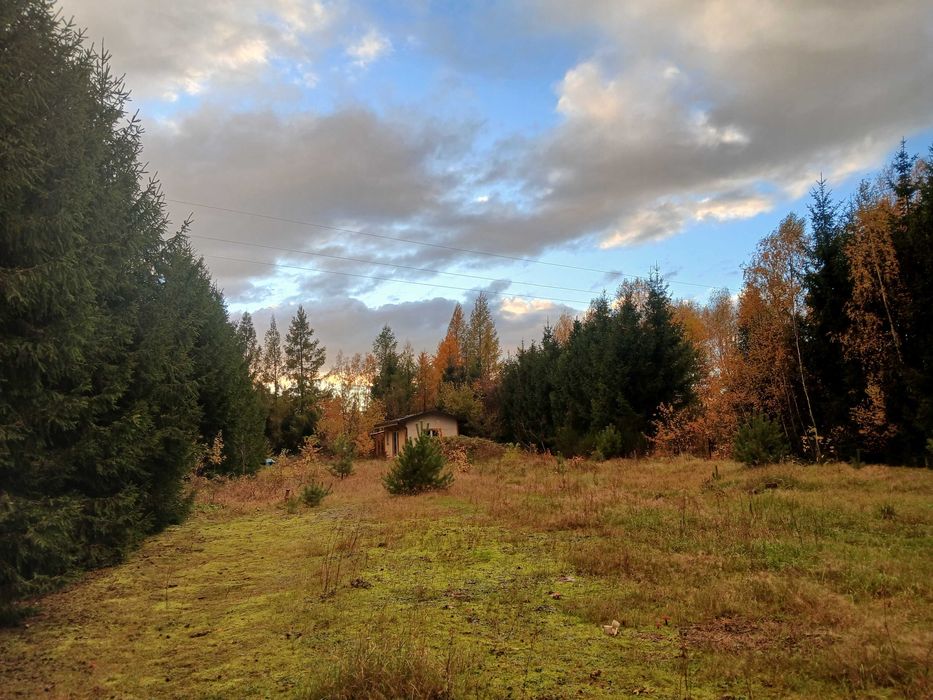Mały domek na urlop pod lasem Nocleg