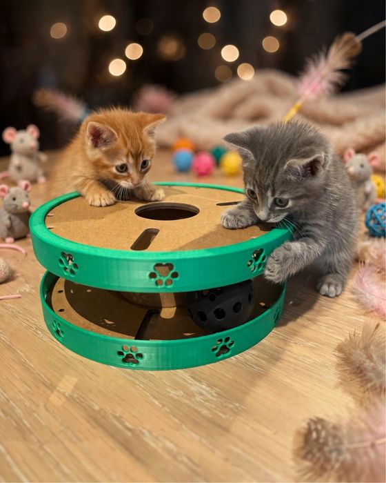 Brinquedo Interativo  2 bolas para Gatos
