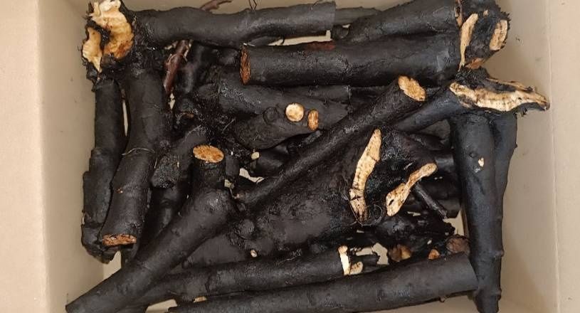 Корінь живокосту