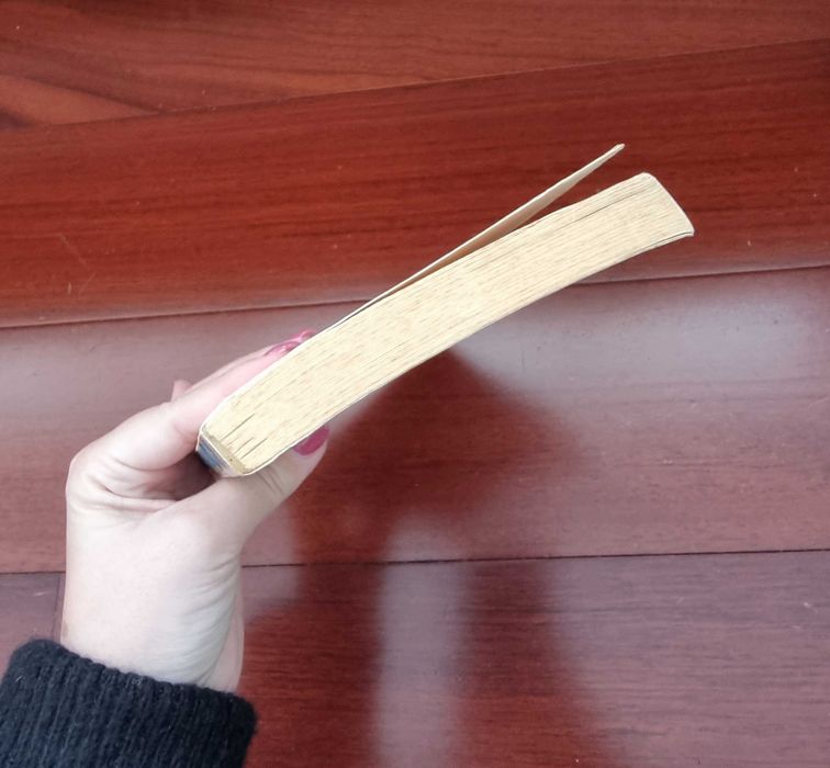 Livro "Céu em Chamas" de Maura Seger