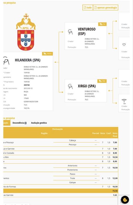 Poldra Lusitana