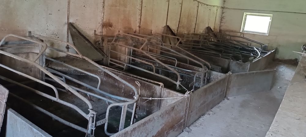 Kojce porodowe, dozowniki pasz