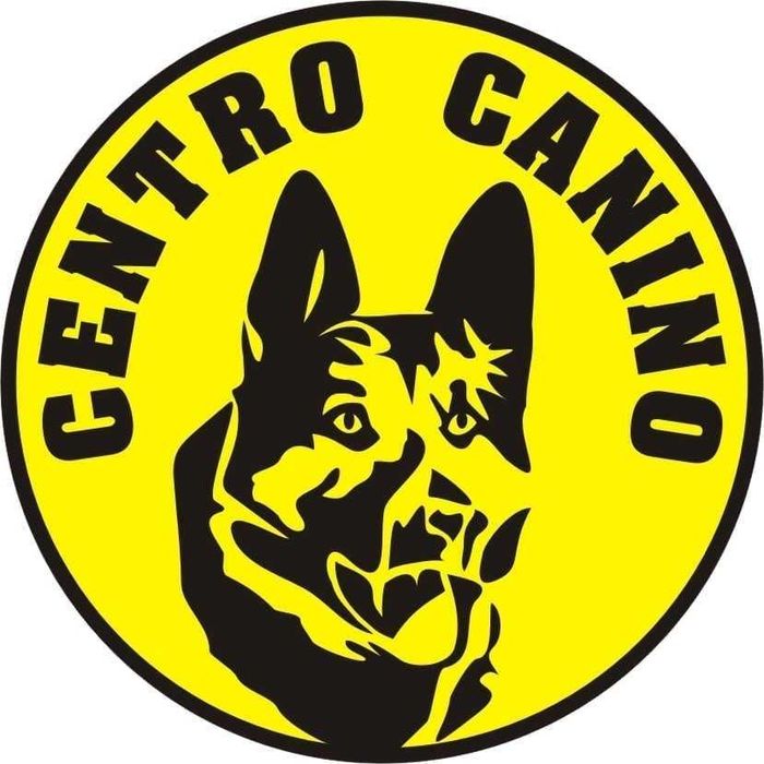 treino de cães porto