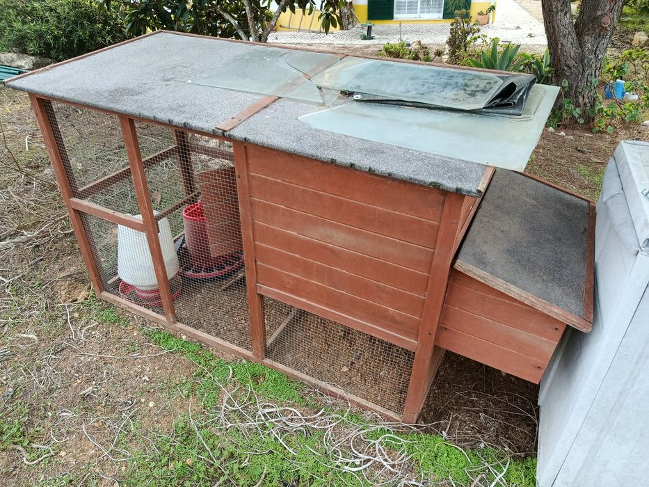 Galinheiro de madeira