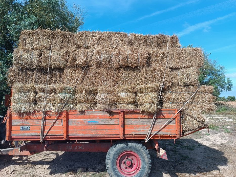 Venda de fardos pequenos