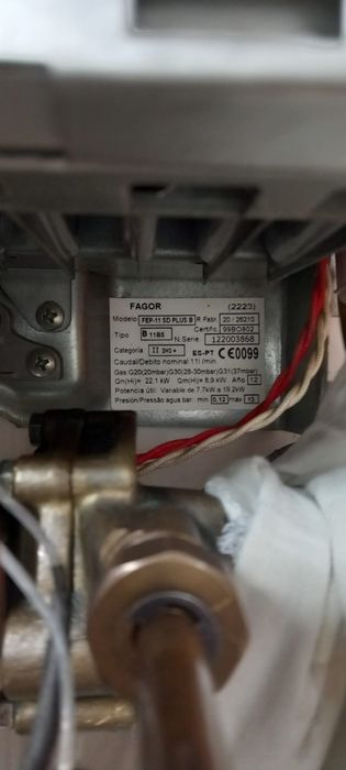 Esquentador fagor butano propano