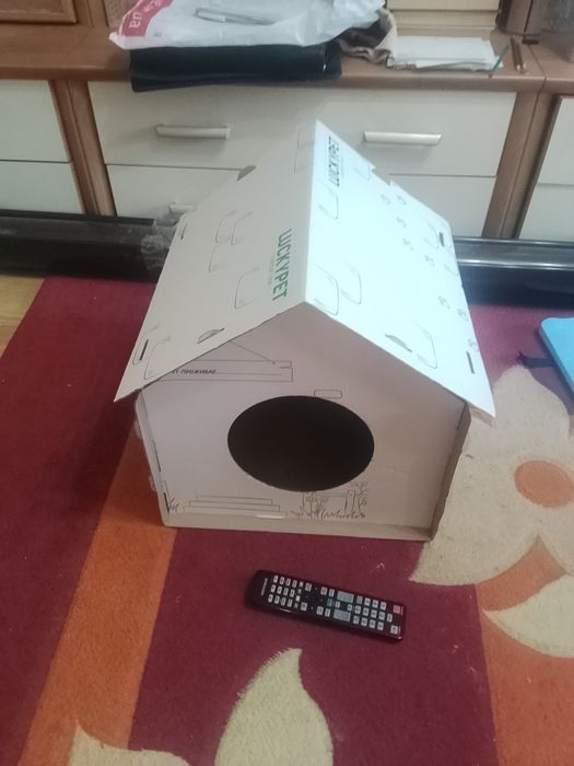 Картонна хатинка для кота