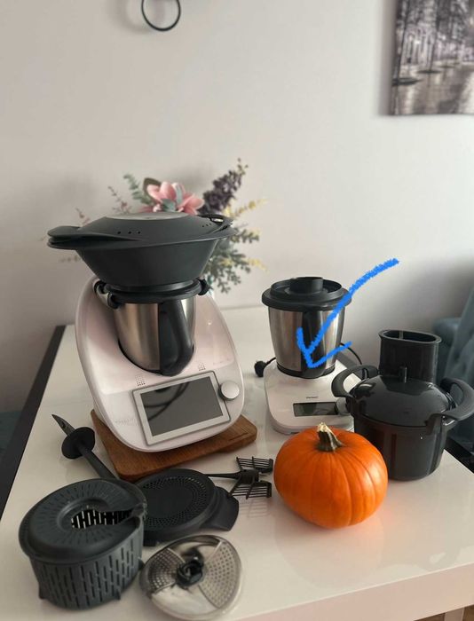 Friend do Termomixa TM6