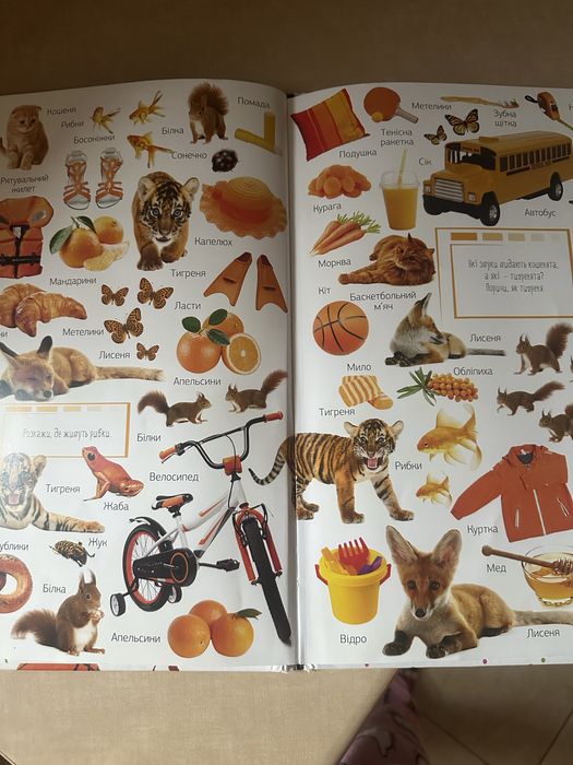 Книга дитяча 500 Перших слів