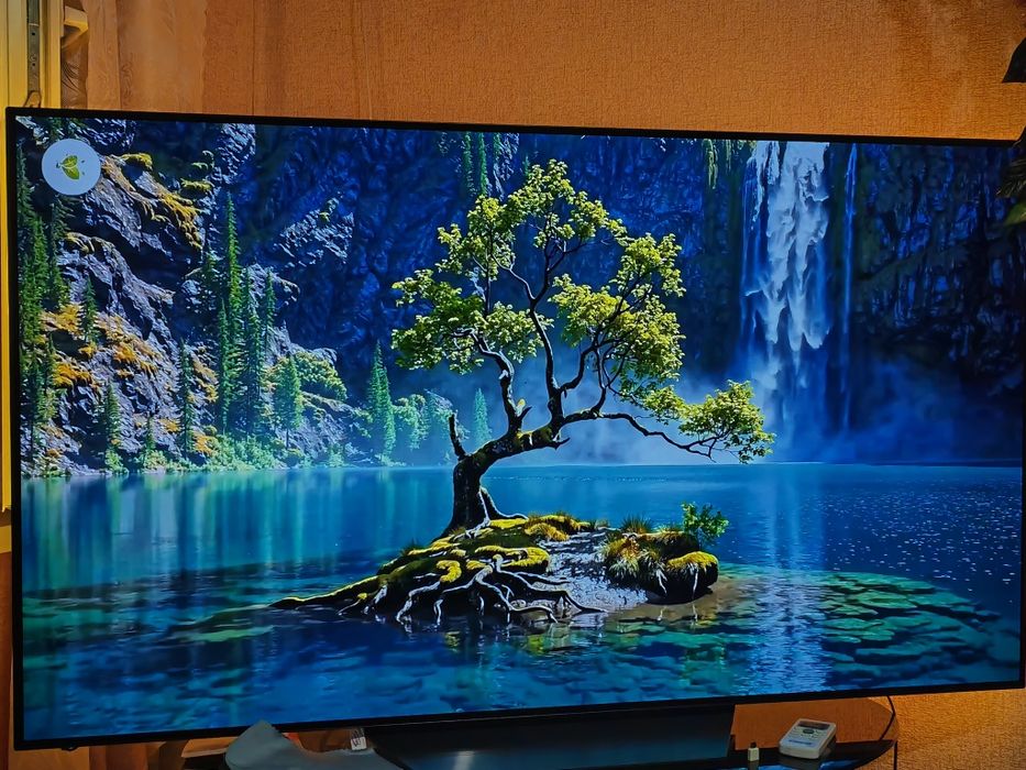 Телевизор LG OLED 65 B13LA