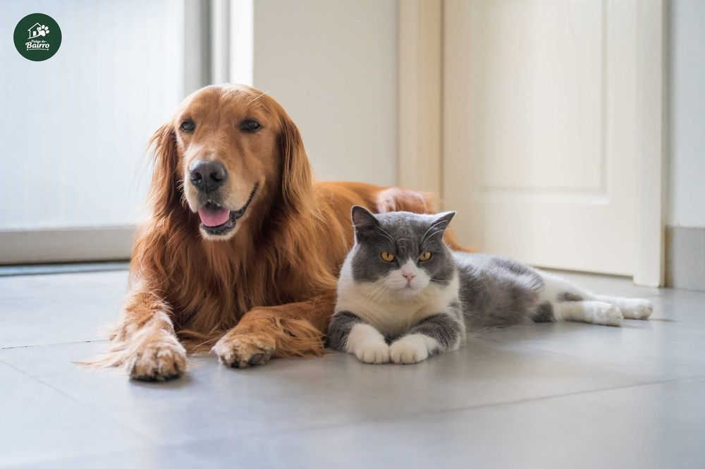 Pet Sitting - Patas do Bairro (Lisboa)
