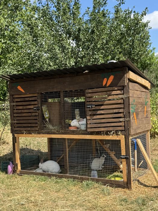 Продаж кролятника