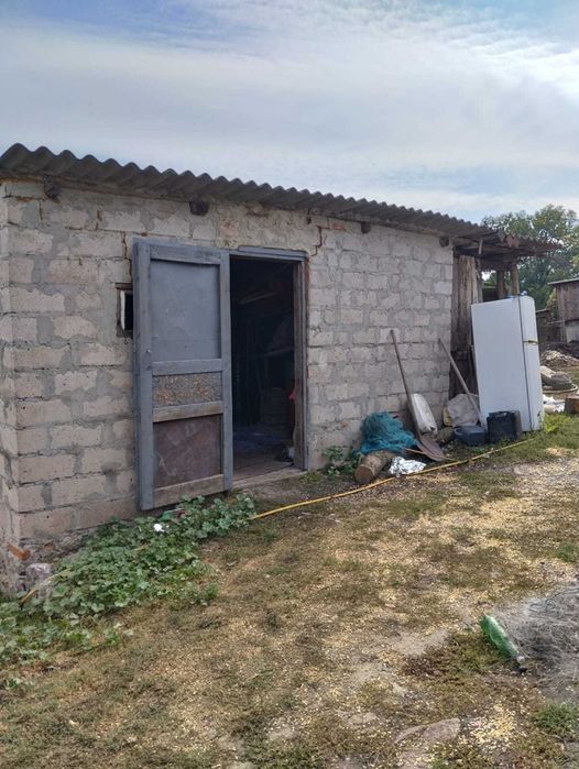 1/2 садиби  в селі  Оситна Новоукраїнського району