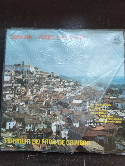 Discos Vinil (diversos)