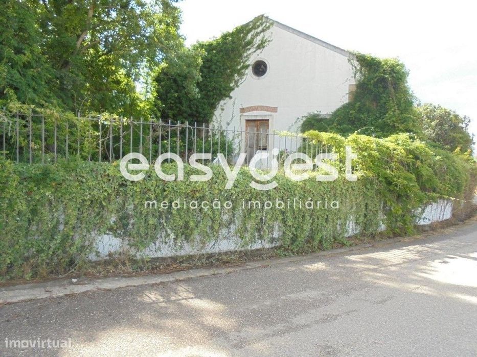 Quinta com moradia T6 em Constância, Santa Margarida da Coutada