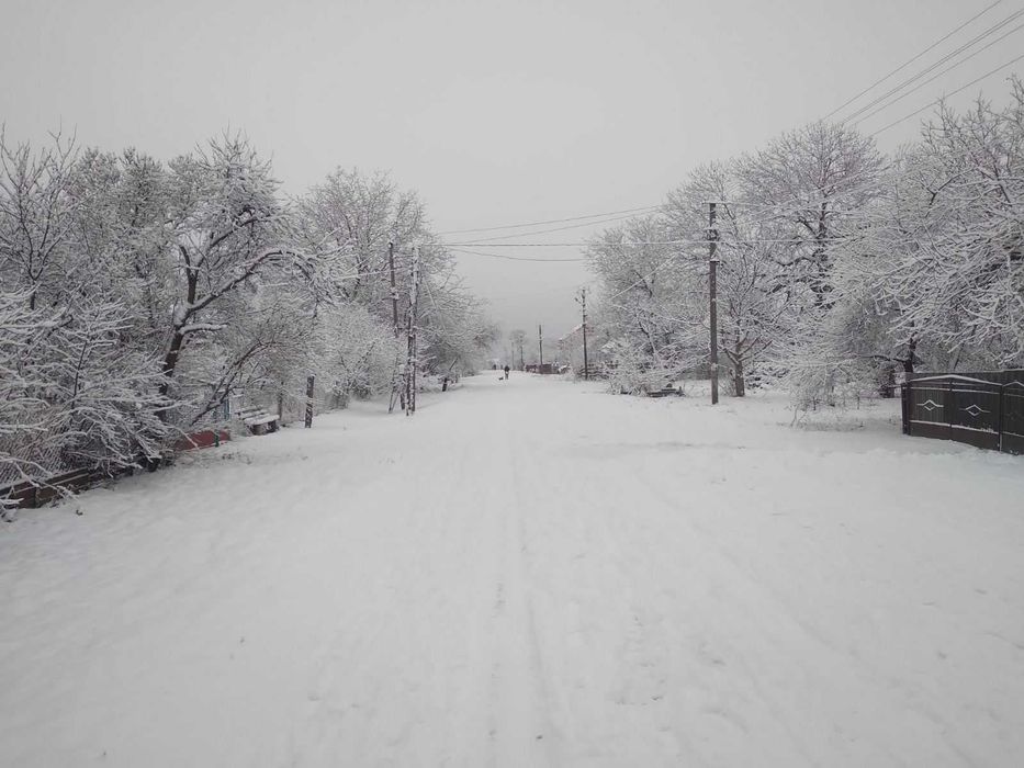 Продаж будинку та земельної ділянки 50 соток, місто Берестечко